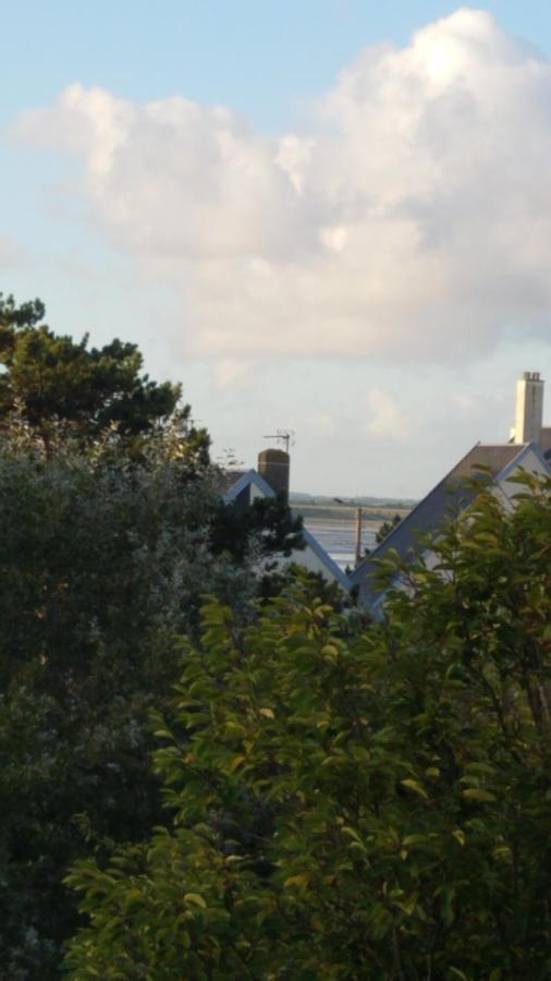 Superbe Studio Au Crotoy Acces Direct Plage Le Crotoy Eksteriør billede